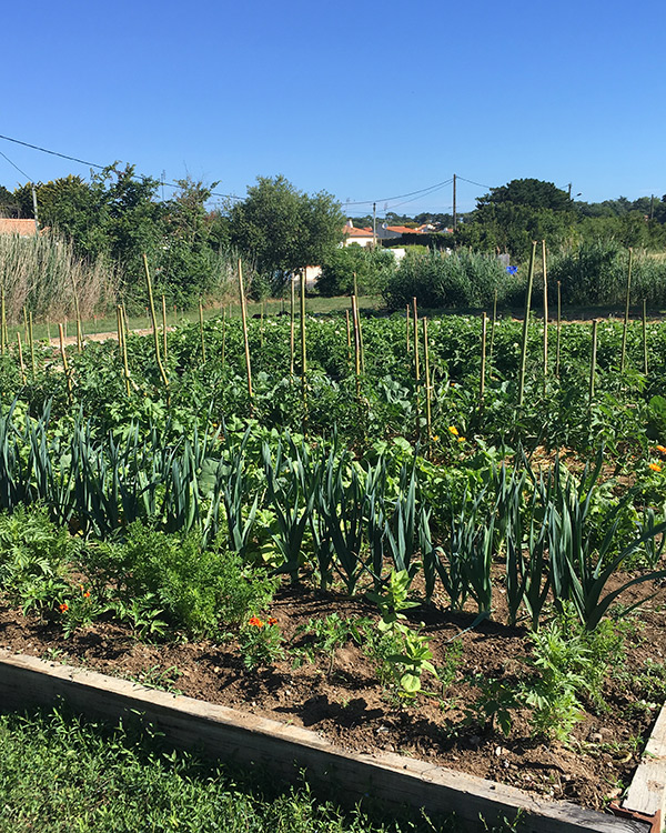 Le jardin potager du Marais Girard