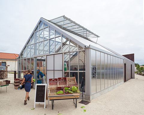 Vente de fruits et légumes bio